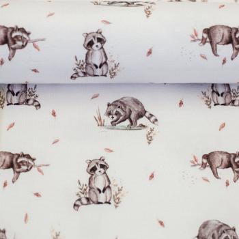 Preview: Baumwolljersey Life in the Forest Waschbären by Christiane Zielinski aus dem Hause Swafing